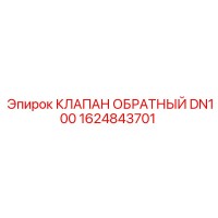 1624843701 КЛАПАН ОБРАТНЫЙ DN100 Epiroc
