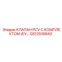 GS12516843 КЛАПАН PCV С КОМПЛЕКТОМ Epiroc