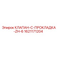 1621171204 КЛАПАН-C-ПРОКЛАДКА-ZH-6 Epiroc