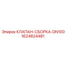 Гидравлическая сборка клапана 1624824481 DN100
