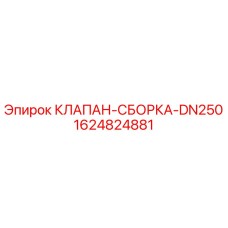 1624824881 КЛАПАН-СБОРКА-DN250 Epiroc