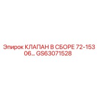 GS63071528 КЛАПАН В СБОРЕ 72-15306 Epiroc