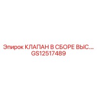 GS12517489 КЛАПАН В СБОРЕ ВЫС Epiroc