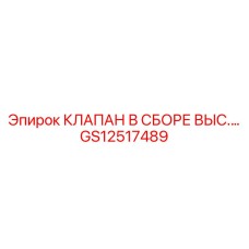 GS12517489 КЛАПАН В СБОРЕ ВЫС Epiroc