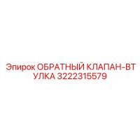 3222315579 ОБРАТНЫЙ КЛАПАН-ВТУЛКА Epiroc