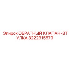 3222315579 ОБРАТНЫЙ КЛАПАН-ВТУЛКА Epiroc