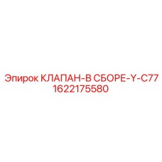 1622175580 КЛАПАН-В СБОРЕ-Y-C77 Epiroc