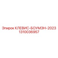 1310036957 КЛЕВИС-БОУМЭН-2023 Epiroc