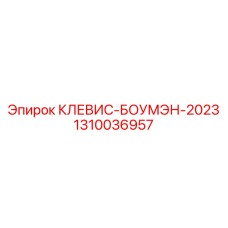 1310036957 КЛЕВИС-БОУМЭН-2023 Epiroc