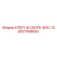 2657568693 КЛЮЧ-В СБОРЕ-BOC-12 Epiroc