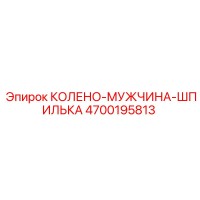 4700195813 КОЛЕНО-МУЖЧИНА-ШПИЛЬКА Epiroc