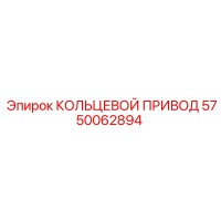 5750062894 КОЛЬЦЕВОЙ ПРИВОД (Epiroc)