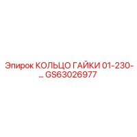 GS63026977 КОЛЬЦО ГАЙКИ 01-230-… Эпирок