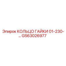 GS63026977 КОЛЬЦО ГАЙКИ 01-230-… Эпирок