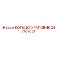 GS7107631 КОЛЬЦО-ХРАПОВИК Epiroc