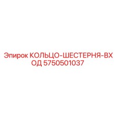 5750501037 КОЛЬЦО-ШЕСТЕРНЯ-ВХОД Epiroc