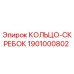 1901000802 КОЛЬЦО-СКРЕБОК Epiroc