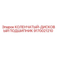 9170021210 КОЛЕНЧАТЫЙ-ДИСКОВЫЙ ПОДШИПНИК Эпирок
