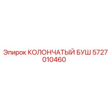 5727010460 КОЛОНЧАТЫЙ БУШ Epiroc