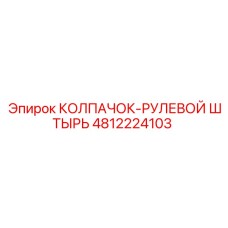 4812224103 КОЛПАЧОК-РУЛЕВОЙ ШТЫРЬ Epiroc