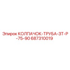 687310019 КОЛПАЧОК-ТРУБА-ЗТ-Р-75-90 Epiroc