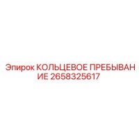 2658325617 КОЛЬЦЕВОЕ ПРЕБЫВАНИЕ (Epiroc)