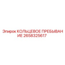 2658325617 КОЛЬЦЕВОЕ ПРЕБЫВАНИЕ (Epiroc)