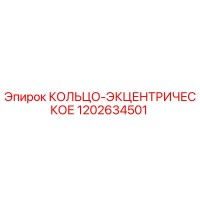 1202634501 КОЛЬЦО-ЭКЦЕНТРИЧЕСКОЕ Epiroc