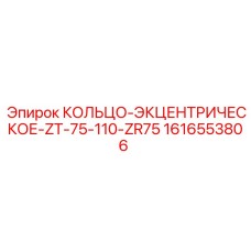 1616553806 КОЛЬЦО-ЭКЦЕНТРИЧЕСКОЕ-ZT-75-110-ZR75 Epiroc