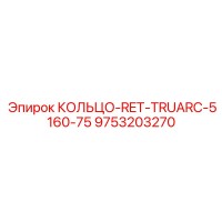 9753203270 КОЛЬЦО-RET-TRUARC-5160-75 Epiroc