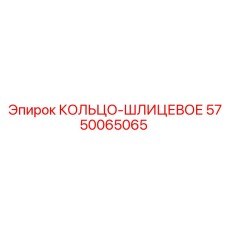 5750065065 КОЛЬЦО-ШЛИЦЕВОЕ (Epiroc)