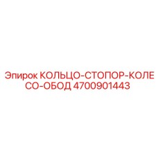 4700901443 КОЛЬЦО-СТОПОР-КОЛЕСО-ОБОД - Epiroc
