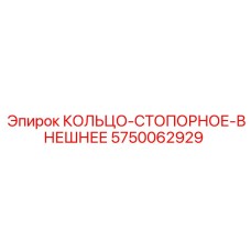 5750062929 КОЛЬЦО-СТОПОРНОЕ-ВНЕШНЕЕ (Epiroc)