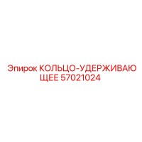 57021024 КОЛЬЦО-УДЕРЖИВАЮЩЕЕ Epiroc