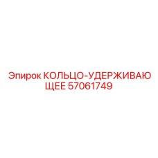 57061749 КОЛЬЦО-УДЕРЖИВАЮЩЕЕ Epiroc