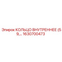 1630700473 КОЛЬЦО ВНУТРЕННЕЕ (59) Epiroc