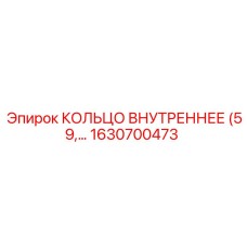 1630700473 КОЛЬЦО ВНУТРЕННЕЕ (59) Epiroc