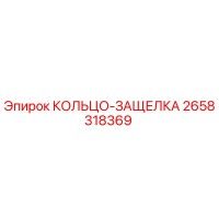 2658318369 КОЛЬЦО-ЗАЩЕЛКА (Epiroc)
