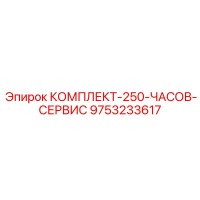 9753233617 КОМПЛЕКТ-250-ЧАСОВ-СЕРВИС Epiroc