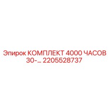 2205528737 КОМПЛЕКТ 4000 ЧАСОВ 30- Epiroc