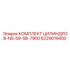 6229019400 КОМПЛЕКТ ЦИЛИНДРОВ-NS-59-SB-7900 Epiroc