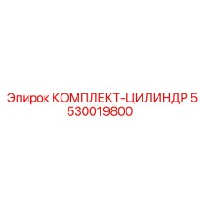 5530019800 КОМПЛЕКТ-ЦИЛИНДР Epiroc