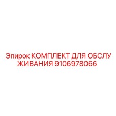 9106978066 КОМПЛЕКТ ДЛЯ ОБСЛУЖИВАНИЯ Epiroc