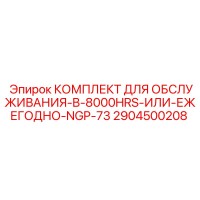 2904500208 КОМПЛЕКТ ДЛЯ ОБСЛУЖИВАНИЯ-B-8000HRS-ИЛИ-ЕЖЕГОДНО-NGP-73 Epiroc