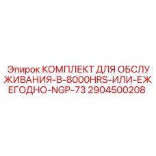 2904500208 КОМПЛЕКТ ДЛЯ ОБСЛУЖИВАНИЯ-B-8000HRS-ИЛИ-ЕЖЕГОДНО-NGP-73 Epiroc