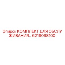 6219098100 КОМПЛЕКТ ДЛЯ ОБСЛУЖИВАНИЯ Epiroc