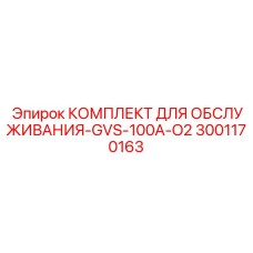 3001170163 КОМПЛЕКТ ДЛЯ ОБСЛУЖИВАНИЯ-GVS-100A-O2 Epiroc