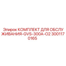 Комплект ТО артикул 3001170165 для станков с кислородным охлаждением