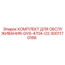 Сервисный набор артикул 3001170166 для оборудования с кислородным охлаждением