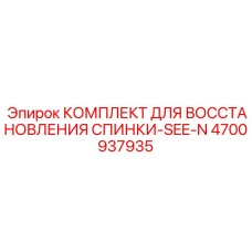 4700937935 КОМПЛЕКТ ДЛЯ ВОССТАНОВЛЕНИЯ СПИНКИ-SEE-N Epiroc